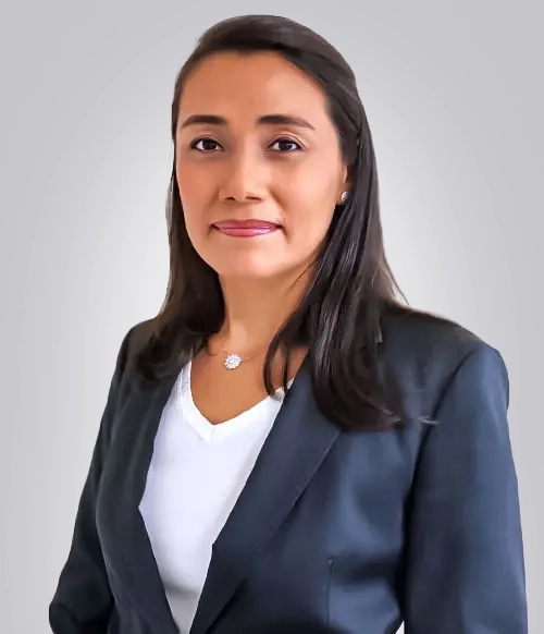 Assessores de Investimentos Norte Invest